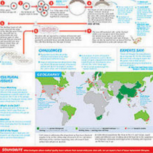 Stem Cell Worksheet Answers - Nidecmege